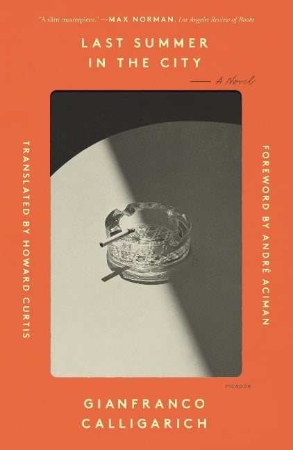 Last Summer in the City - Gianfranco Calligarich