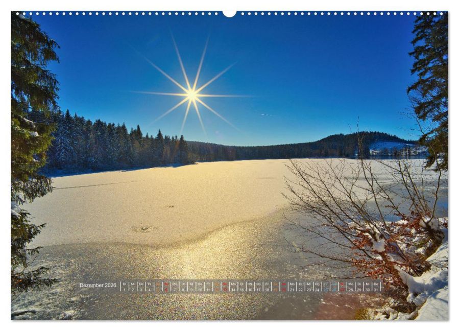 InsideView 4