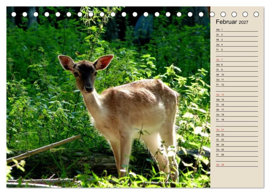 InsideView 7