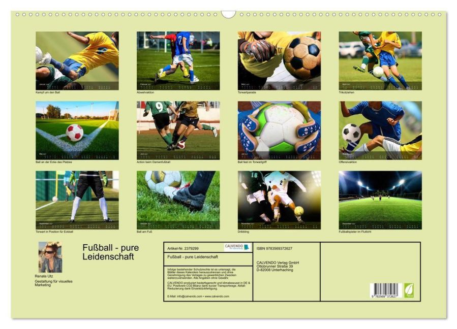 InsideView 5