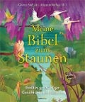 Cover-Bild zum Titel 'Meine Bibel zum Staunen' von 'Glenys Nellist'
