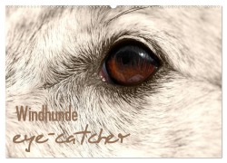 Cover-Bild zum Titel 'Windhunde eye-catcher (Wandkalender 2026 DIN A2 quer), CALVENDO Monatskalender' von 'Pfoten-Design Andrea Redecker'