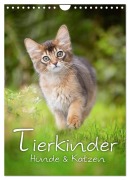 Tierkinder Hunde und Katzen (Wandkalender 2026 DIN A4 hoch), CALVENDO Monatskalender - Nicole Noack