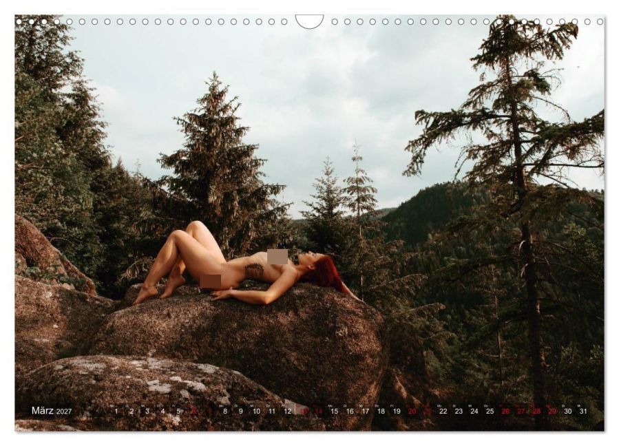 InsideView 8