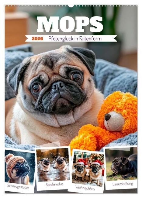 MOPS Pfotenglück in Faltenform (Wandkalender 2026 DIN A2 hoch), CALVENDO Monatskalender - Melanie Viola