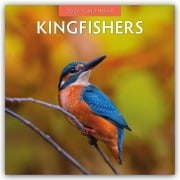 Kingfishers - Eisvögel 2026 - 16-Monatskalender - Robin Red