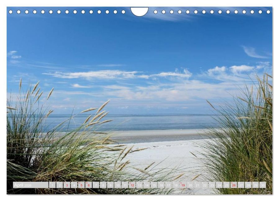 InsideView 9