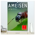 Ameisen quirlige Arbeiter (hochwertiger Premium Wandkalender 2024 DIN A2 hoch), Kunstdruck in Hochglanz - Peter Roder