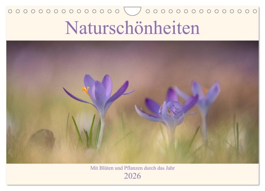 Naturschönheiten - mit Blüten und Pflanzen durch das Jahr (Wandkalender 2026 DIN A4 quer), CALVENDO Monatskalender - Sabine Böke-Bergau