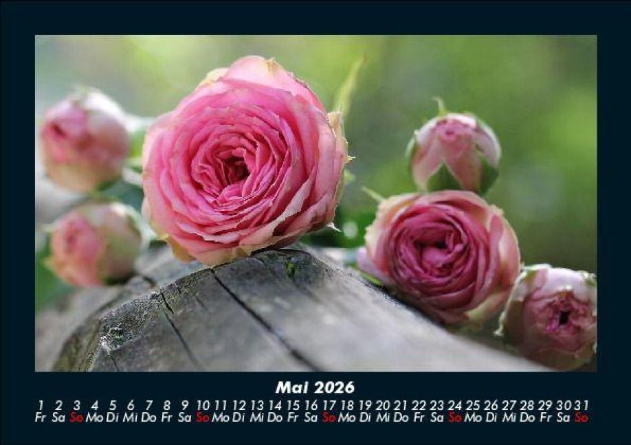 InsideView 9