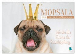 Cover-Bild zum Titel 'Mopsala: Vom Glück, ein Mops zu sein (Wandkalender 2026 DIN A2 quer), CALVENDO Monatskalender' von 'Calvendo Calvendo'