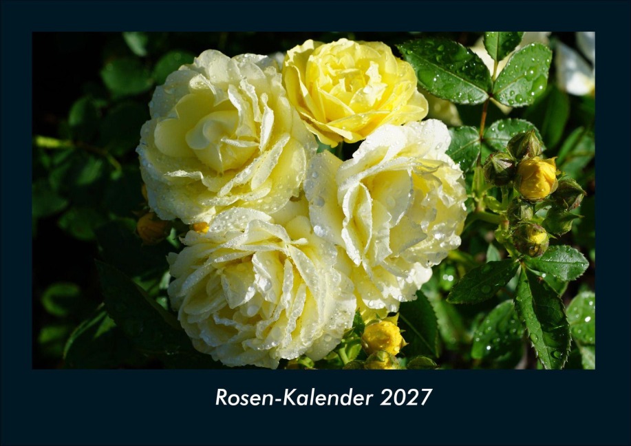 Rosen-Kalender 2027 Fotokalender DIN A4 - Tobias Schmitt, Kevin Heber