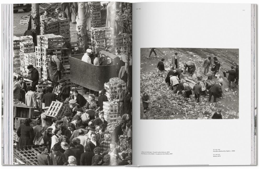 InsideView 23