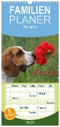 Familienplaner 2025 - Beagle mit 5 Spalten (Wandkalender, 21 x 45 cm) CALVENDO - Pferdografen. De Antje Lindert-Rottke Martina Berg