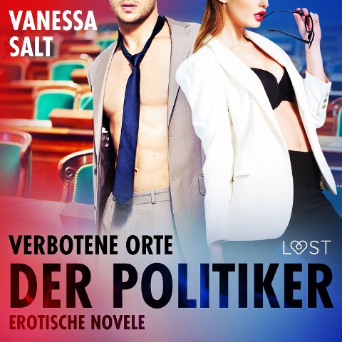 Verbotene Orte: Der Politiker - Erotische Novelle - Vanessa Salt