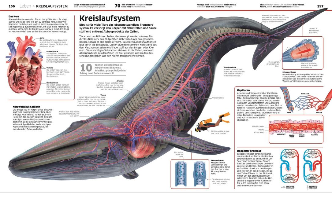 InsideView 7