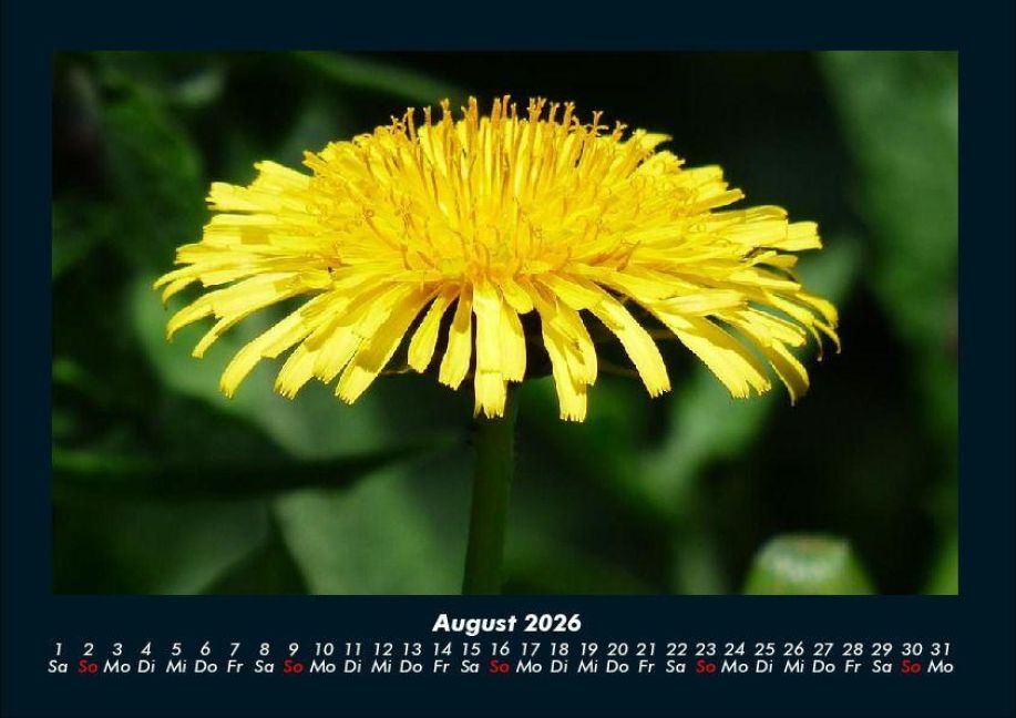 InsideView 12