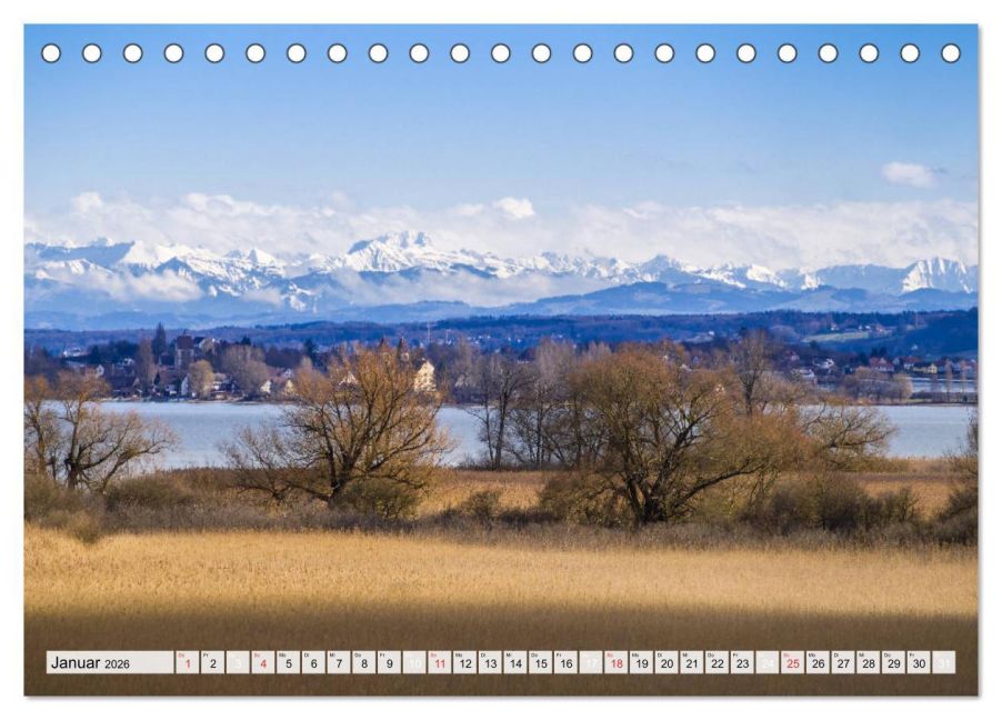 InsideView 6