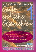 Cover-Bild zum Titel 'Gayle erotische Geschichten - Sammelband 1' von 'Adi Mira Michaels'