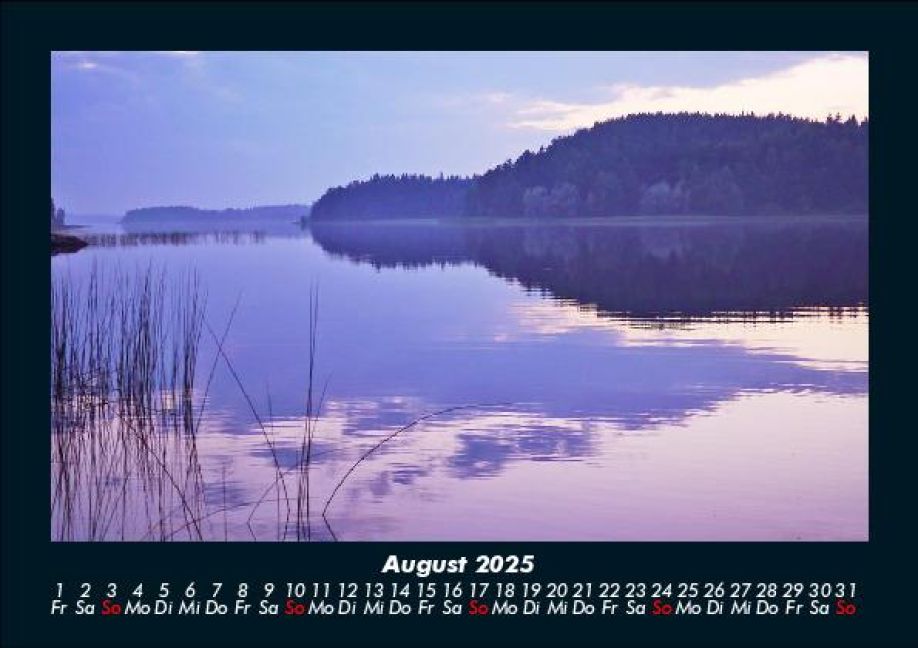 InsideView 12