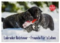 Labrador Retriever - Freunde für¿s Leben (Wandkalender 2024 DIN A2 quer), CALVENDO Monatskalender - Sigrid Starick