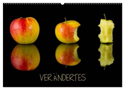 Verändertes (Wandkalender 2026 DIN A2 quer), CALVENDO Monatskalender - Beate Goerz