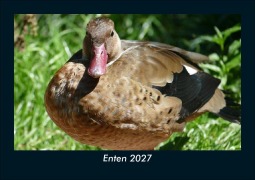 Cover-Bild zum Titel 'Enten 2027 Fotokalender DIN A5' von 'Tobias Schmitt, Kevin Heber'