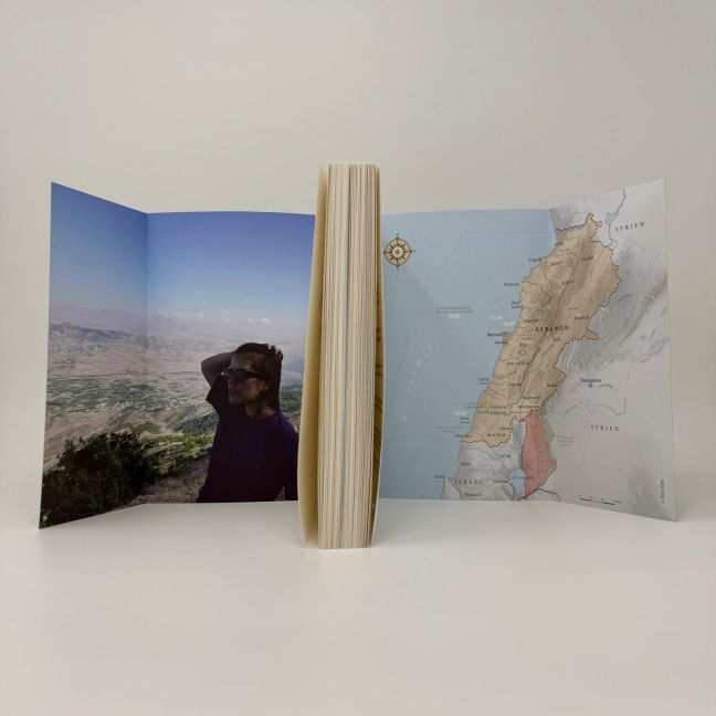 InsideView 3