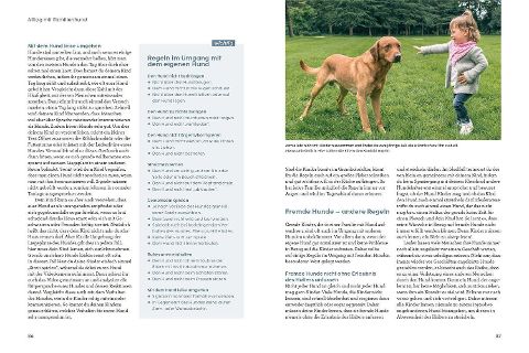 InsideView 4