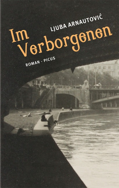 Im Verborgenen - Ljuba Arnautovic