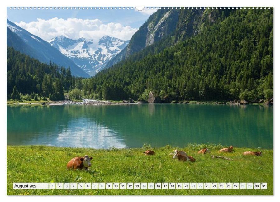 InsideView 12