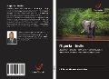 Cover-Bild zum Titel 'Nigeria i Indie' von 'Livinius Ifeatu Nwokike'