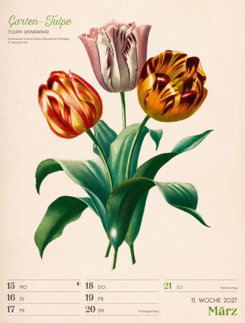 InsideView 15