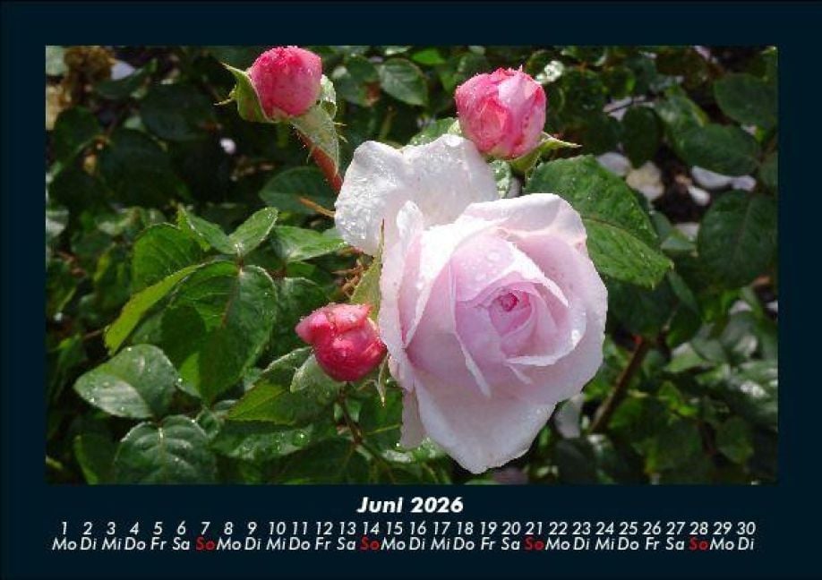 InsideView 10