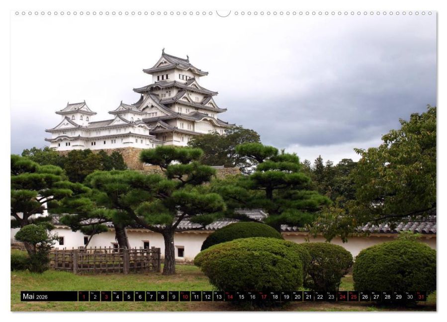InsideView 10