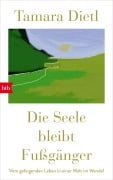 Cover-Bild zum Titel 'Die Seele bleibt Fußgänger' von 'Tamara Dietl'