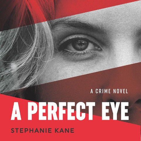 A Perfect Eye - Stephanie Kane