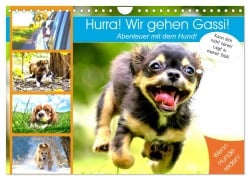 Hurra! Wir gehen Gassi! Abenteuer mit dem Hund! (Wandkalender 2025 DIN A4 quer), CALVENDO Monatskalender - Rose Hurley