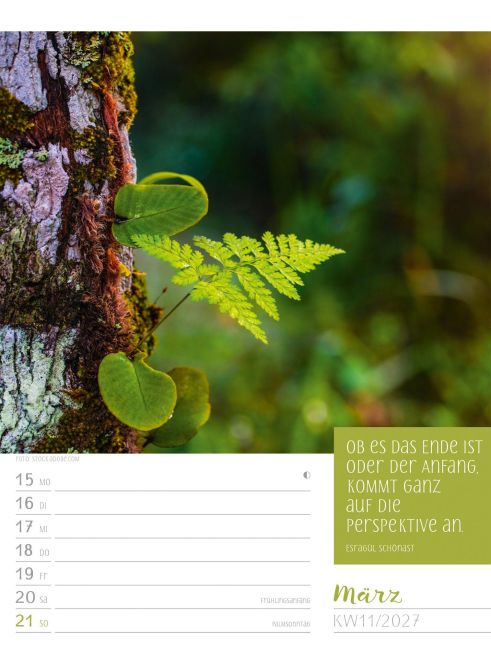 InsideView 15