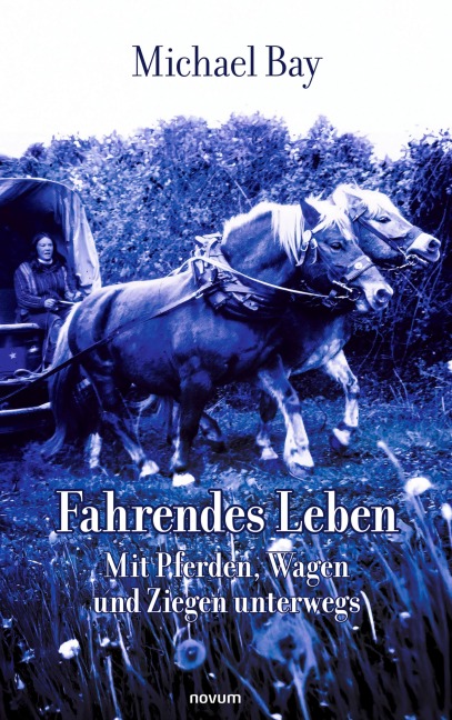 Fahrendes Leben - Michael Bay
