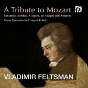 A Tribute to Mozart - Vladimir Feltsman