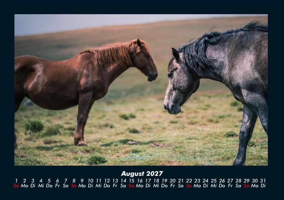 InsideView 12