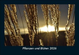 Cover-Bild zum Titel 'Pflanzen und Blüten 2026 Fotokalender DIN A5' von 'Tobias Becker'