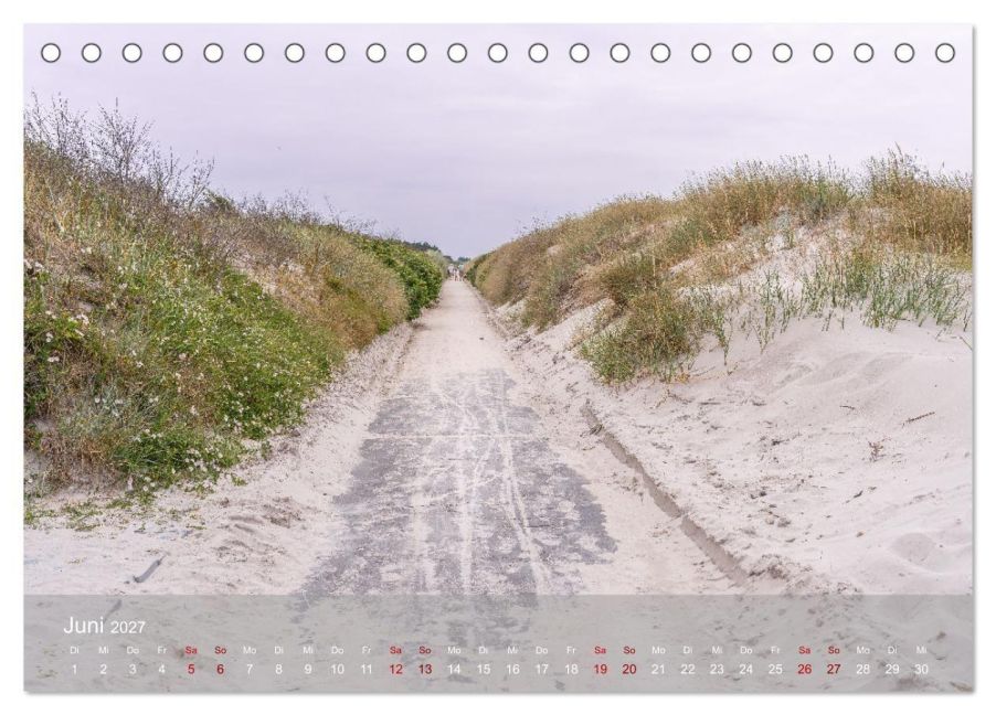 InsideView 11