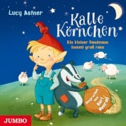 Cover-Bild zum Titel 'Kalle Körnchen. Ein kleiner Sandmann kommt groß raus' von 'Lucy Astner'