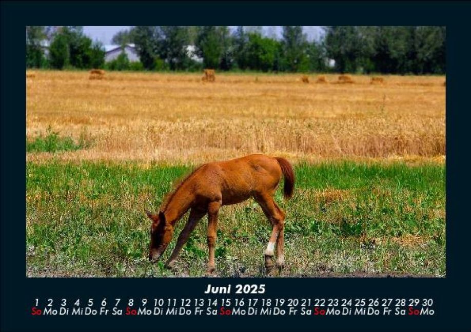 InsideView 10