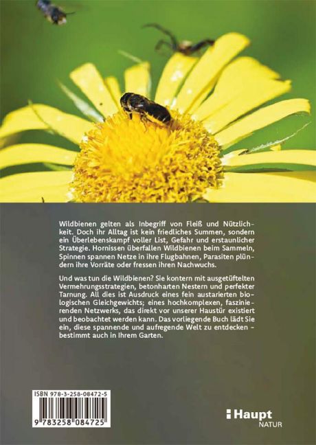 InsideView 5