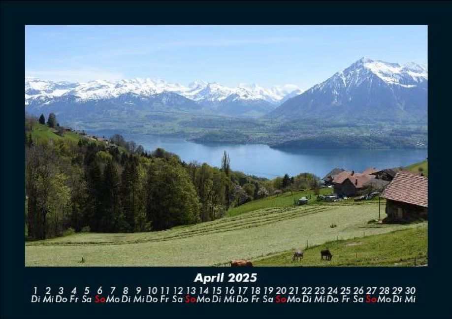 InsideView 8