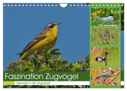 Cover-Bild zum Titel 'Faszination Zugvögel - Rekorde in der Vogelwelt (Wandkalender 2026 DIN A4 quer), CALVENDO Monatskalender' von 'René Schaack'