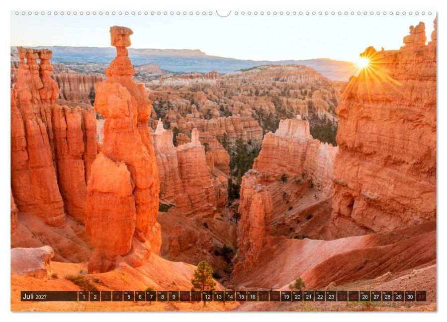 InsideView 11